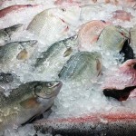 Coffs Harbour Seafood